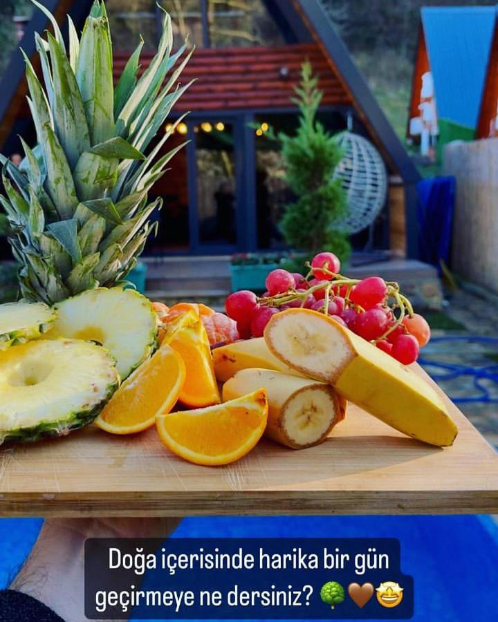Seyyah Bungalov ساكاريا المظهر الخارجي الصورة